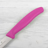 Нож для овощей VICTORINOX 6.7706.L115